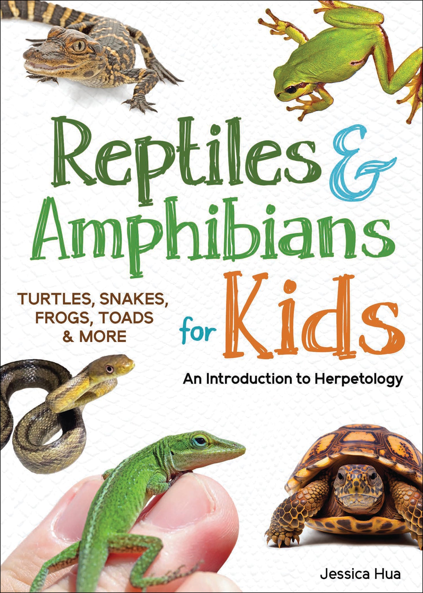 Cover image for Reptiles & Amphibians for Kids ISBN 9781647552909